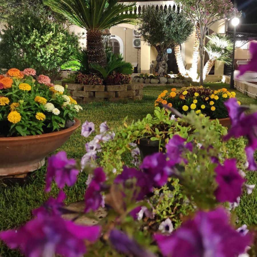 Villa Antonietta イスキア島 エクステリア 写真