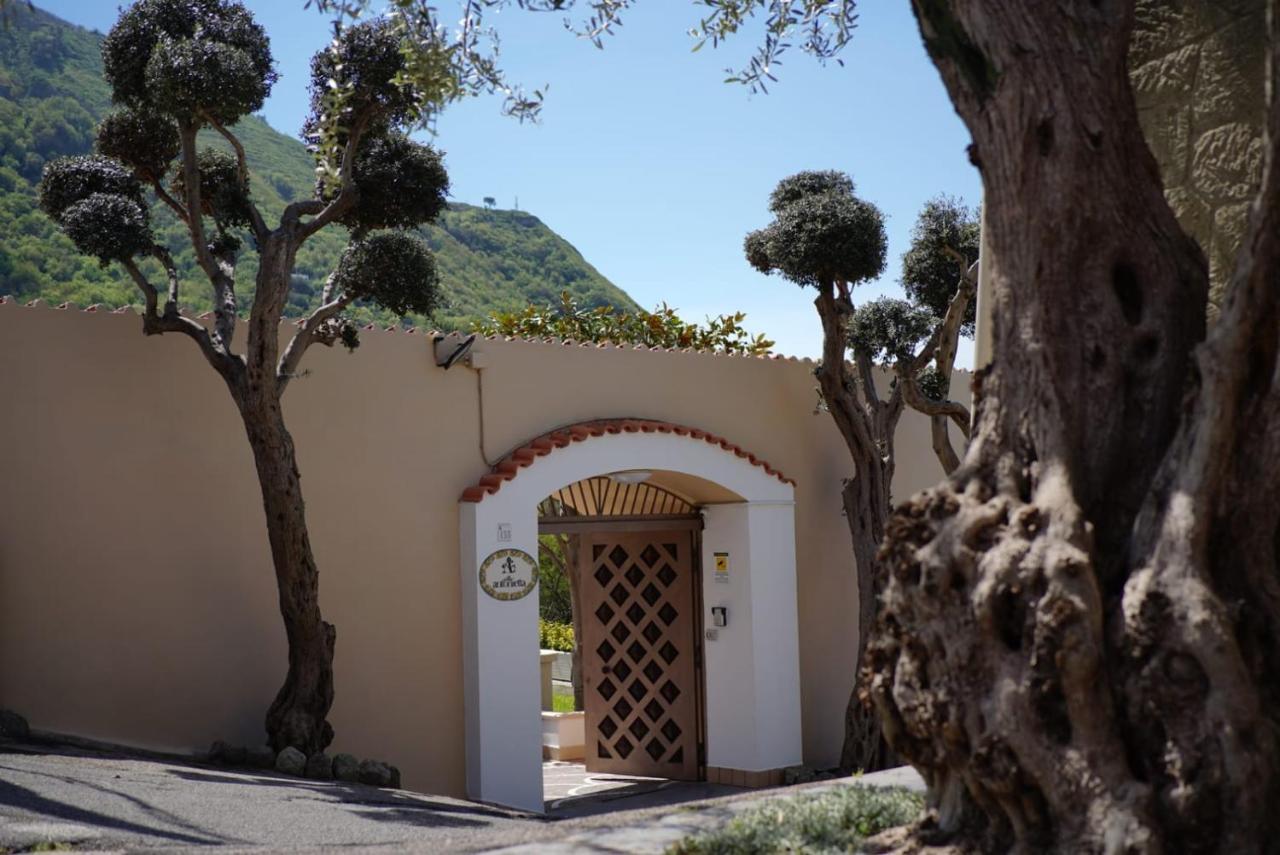 Villa Antonietta イスキア島 エクステリア 写真