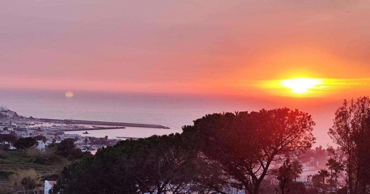 Villa Antonietta イスキア島 エクステリア 写真