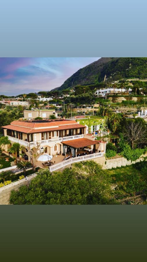Villa Antonietta イスキア島 エクステリア 写真