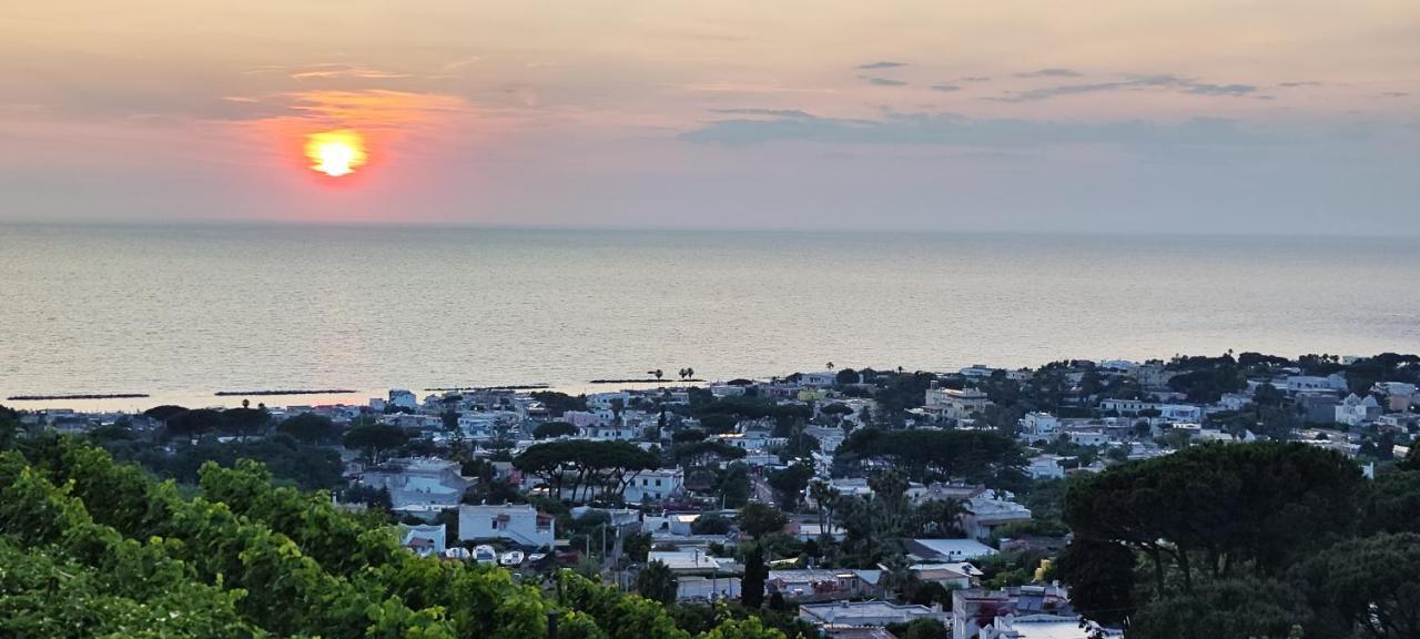 Villa Antonietta イスキア島 エクステリア 写真