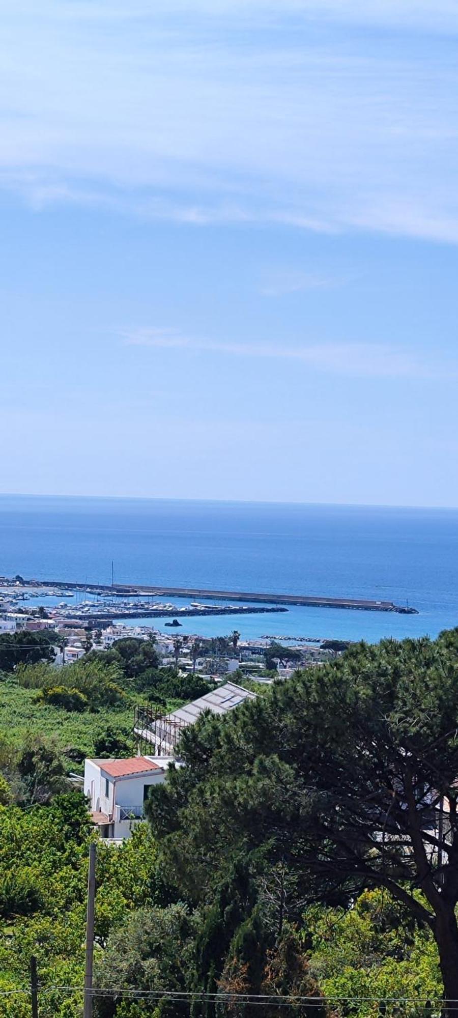 Villa Antonietta イスキア島 エクステリア 写真